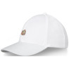 Gorra de camionero de 6 paneles Drake