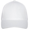 Gorra de camionero de 6 paneles Drake