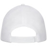 Gorra de camionero de 6 paneles Drake