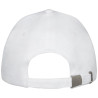 Gorra de 5 paneles Doyle