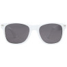 Gafas de sol de PET reciclado Sun Ray