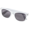 Gafas de sol de PET reciclado Sun Ray