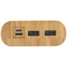 Bateria externa de 20000 mAh de bambu Tulda