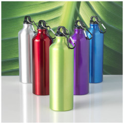 Botella de 770 ml de aluminio con mosqueton Oregon